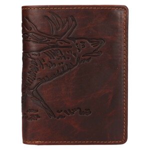 Pánska kožená peňaženka Lagen Rikard - hnedá